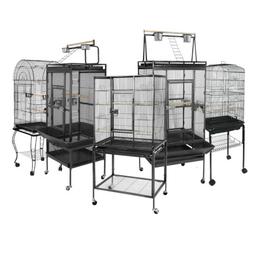 Best Place For Birds Large Parrot Cage